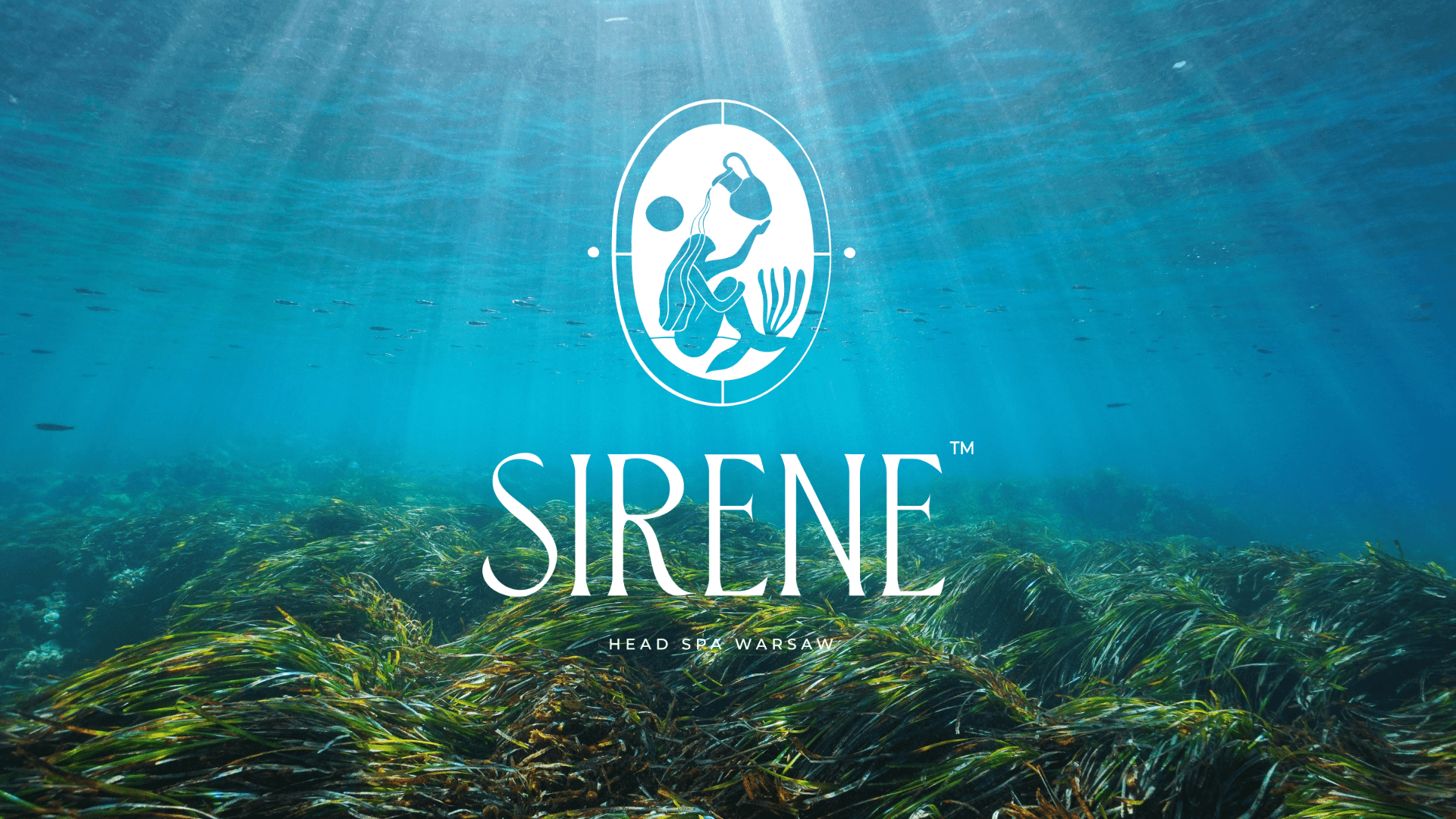 sirene sekcja hero obraz główny